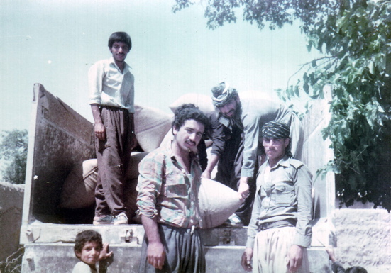 Hashaziny harvest collecting Summer 1985