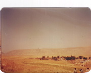 Hashaziny Summer 1992